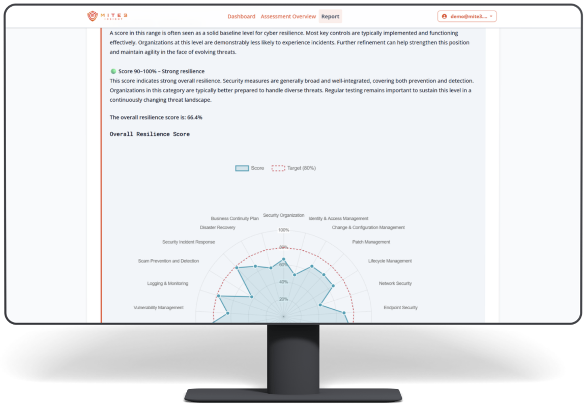 MITE3 Insight Report Desktop (framed)